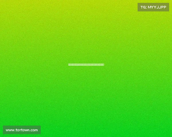 法甲总经理领导下的足球俱乐部发展战略与市场运作分析