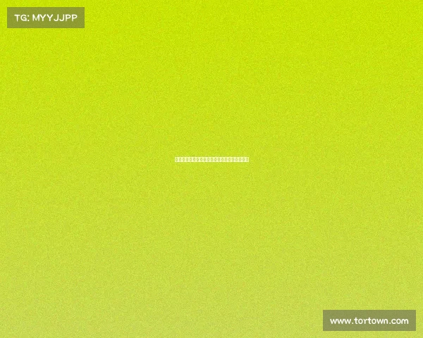 谢什科或许超越哈兰德成为未来足坛新星引关注