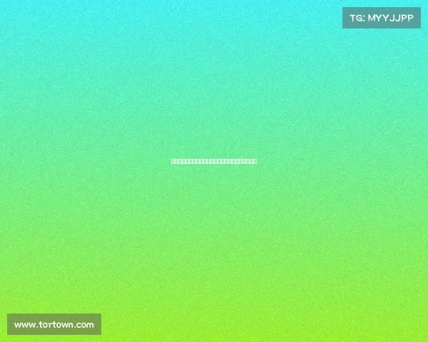 锋无力：从天赋到困境，揭示职业生涯中的选择与挑战