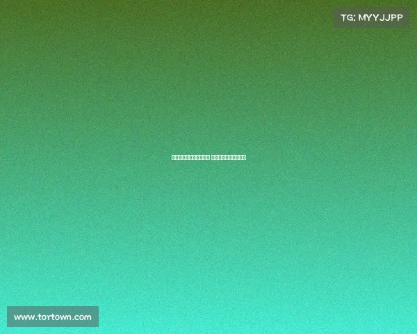 布雷默：我比以往更强大 深信尤文很快重返巅峰