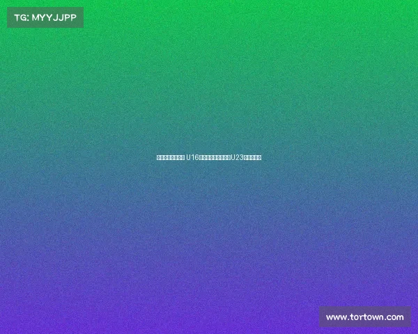 感受德国足球氛围 U16国少队现场观摩门兴U23队精彩对决